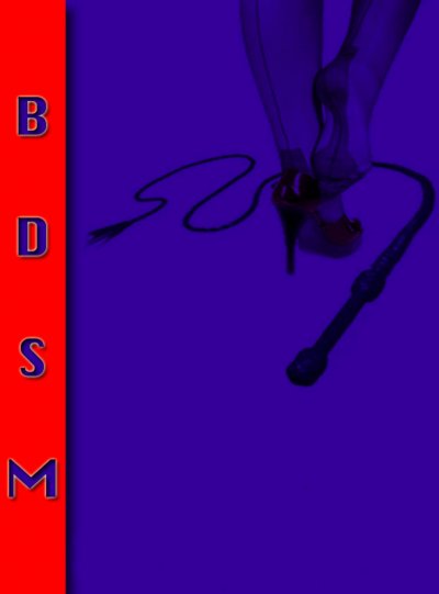 'Cover von Erotic Stories BDSM Volume 1. In English.'-Cover