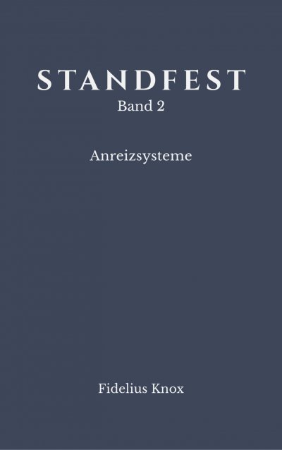 'Cover von STANDFEST Band 2 – Anreizsysteme'-Cover