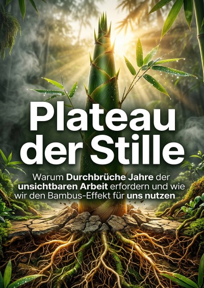 'Cover von Plateau der Stille'-Cover