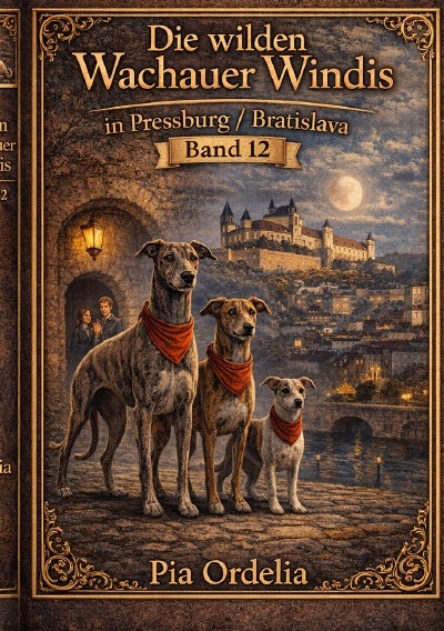 'Cover von Stadzführer Pressburg – Bratislava Band 12'-Cover