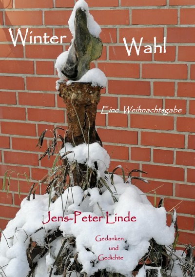 'Cover von Winter Wahl'-Cover