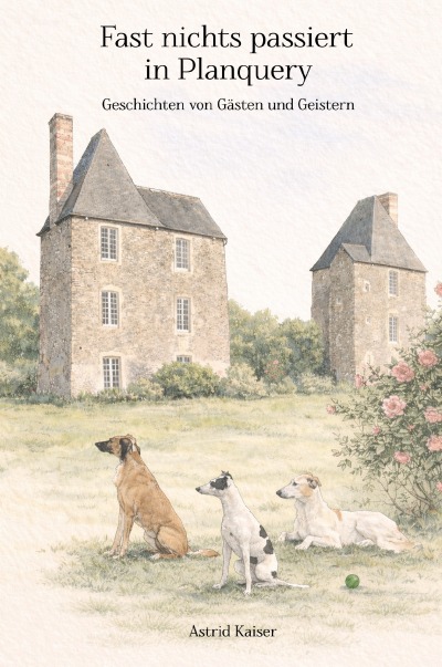 'Cover von Fast nichts passiert in Planquery'-Cover