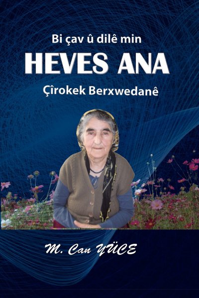 'Cover von Bi çav û dilê min DAYIKA HEVES'-Cover