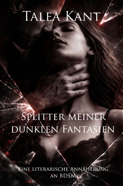 'Cover von Splitter meiner dunklen Fantasien'-Cover