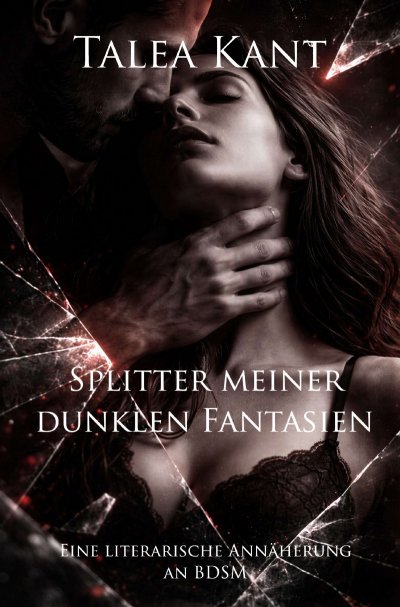 'Cover von Splitter meiner dunklen Fantasien'-Cover
