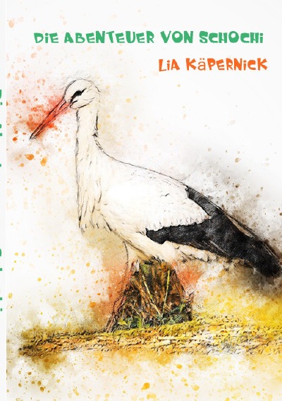 'Cover von Die Abenteuer von Schochi'-Cover