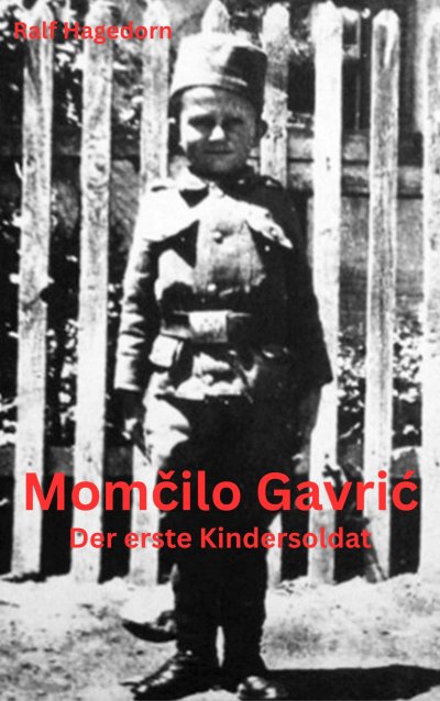 'Cover von Momčilo Gavrić'-Cover
