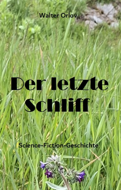 'Cover von Der letzte Schliff'-Cover