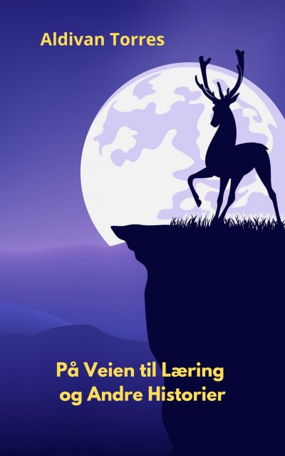 'Cover von På Veien til Læring og Andre Historier'-Cover