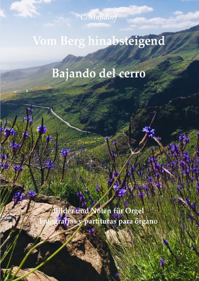 'Cover von Vom Berg hinabsteigend'-Cover