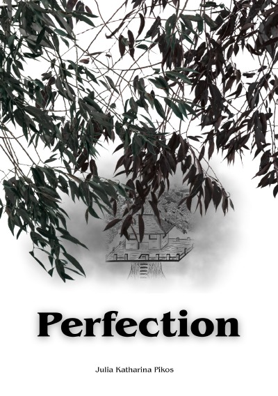 'Cover von Perfection'-Cover