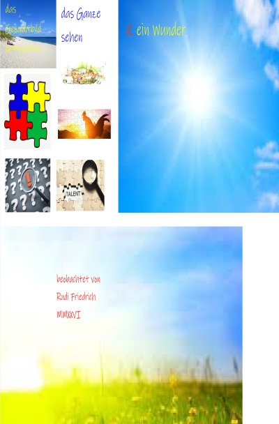 'Cover von Das Ganze sehen'-Cover