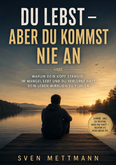 'Cover von Du Lebst – Aber Du kommst nie an'-Cover