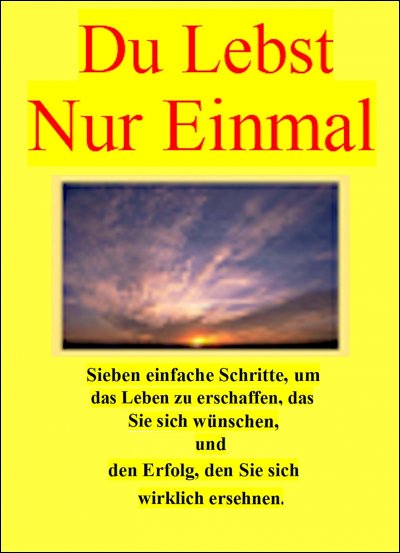 'Cover von Du lebst nur einmal. Sieben einfache Schritte, um das Leben zu erschaffen, dasSie sich wünschen, und den Erfolg, den Sie sich wirklich ersehnen.'-Cover