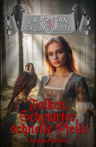 'Cover von Falken, Schwerter, schnelle Pfeile'-Cover