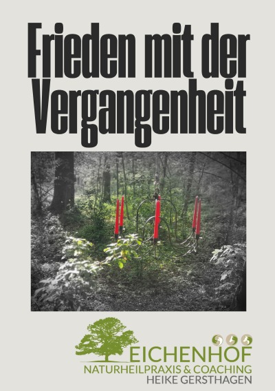 'Cover von Frieden mit der Vergangenheit'-Cover