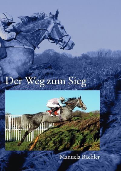 'Cover von Der Weg zum Sieg'-Cover