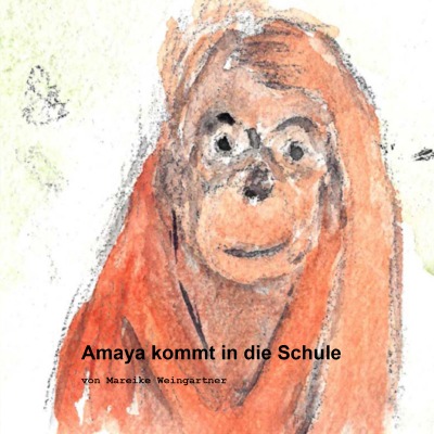 'Cover von Amaya kommt in die Schule'-Cover