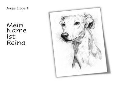 'Cover von Mein Name ist Reina'-Cover