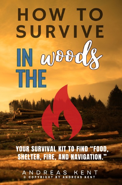 'Cover von How to Survive in the Woods:'-Cover