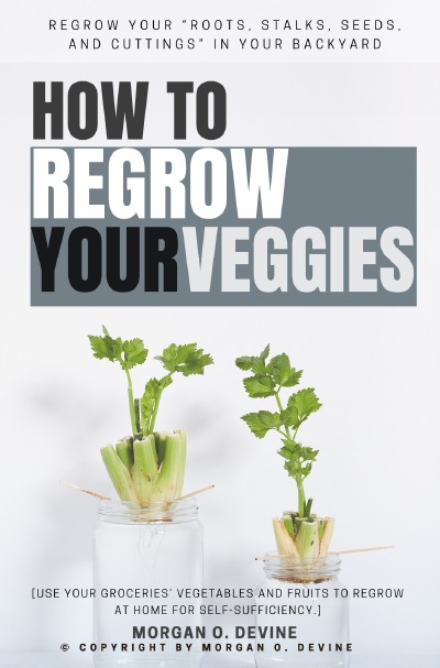 'Cover von How to Regrow Your Veggies::'-Cover