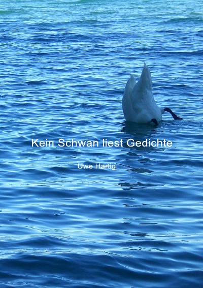 'Cover von Kein Schwan liest Gedichte'-Cover