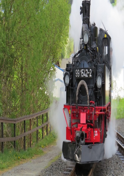 'Cover von Trackwalker Thiel'-Cover