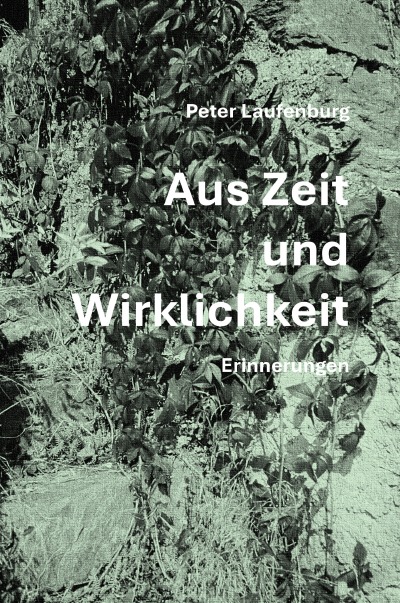 'Cover von Aus Zeit und Wirklichkeit'-Cover