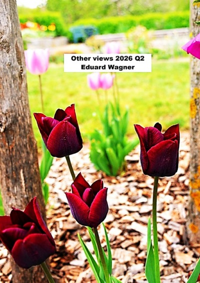 'Cover von Other Views 2026 2nd Quarter'-Cover