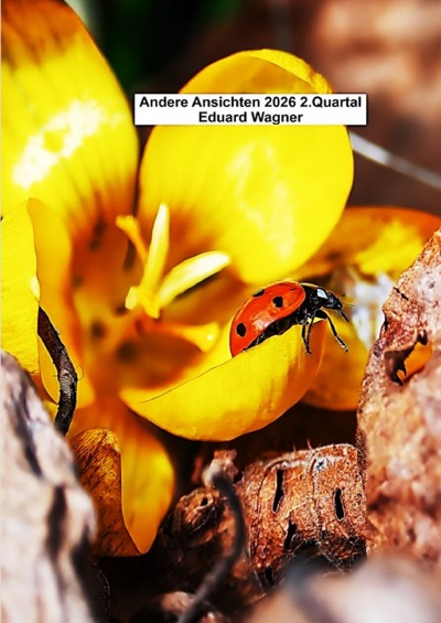 'Cover von Andere Ansichten 2026 2.Quartal'-Cover