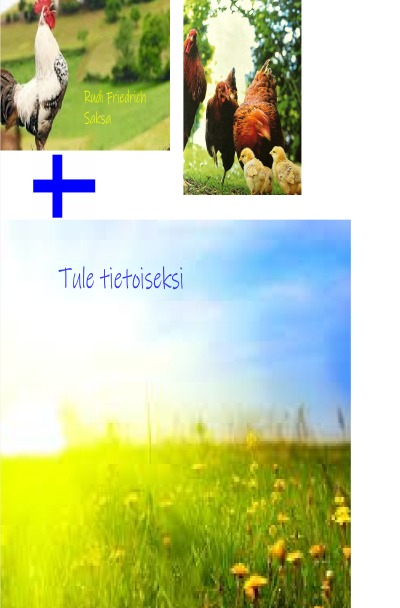 'Cover von Tule tietoiseksi  Rudi Friedrich Saksa'-Cover