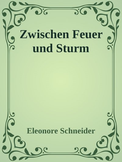 'Cover von Zwischen Feuer und Sturm'-Cover