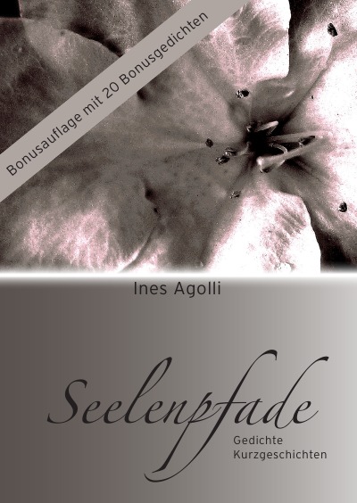 'Cover von Seelenpfade'-Cover