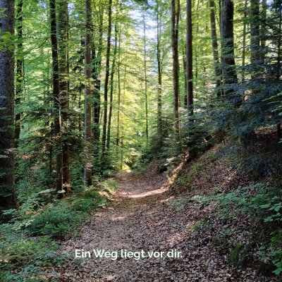 'Cover von Ein Weg liegt vor dir.'-Cover