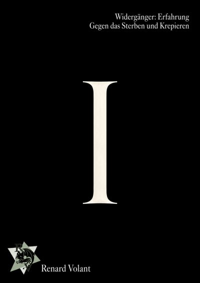 'Cover von Widergänger: Erfahrung'-Cover