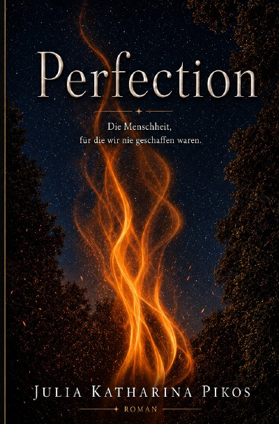 'Cover von Perfection'-Cover