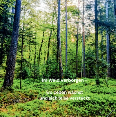 'Cover von Im Wald verborgen –  wo Leben wächst und sich leise versteckt'-Cover