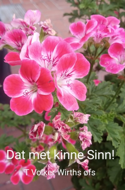 'Cover von Dat met kinne Sinn'-Cover