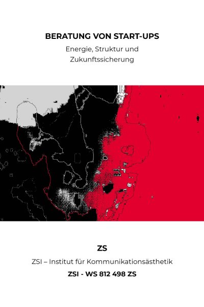 'Cover von BERATUNG VON START-UPS – ZSI – WS 812 498 ZS'-Cover