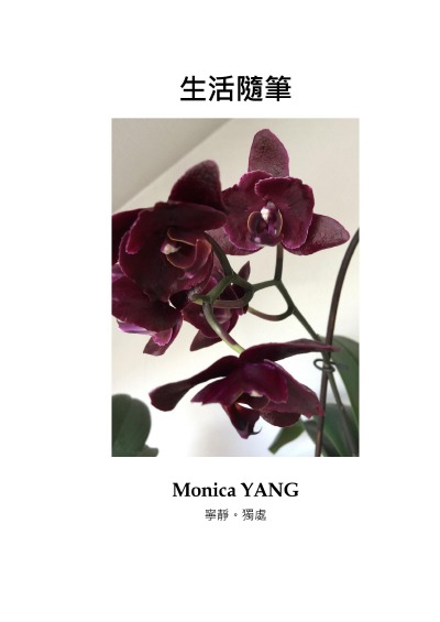 'Cover von Lebensnotizen in chinese'-Cover