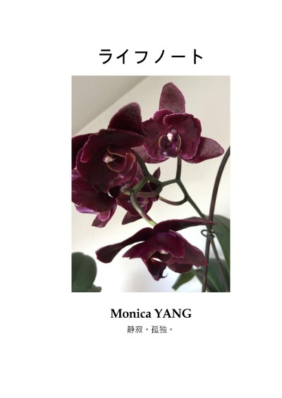 'Cover von Lebensnotizen in japanese'-Cover