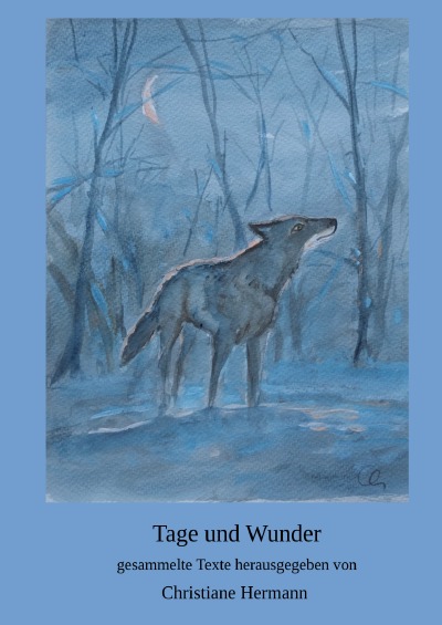 'Cover von Tage und Wunder'-Cover