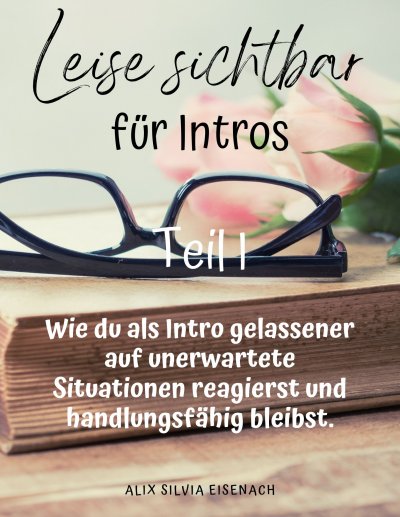 'Cover von Leise sichtbar für Intros Teil I'-Cover