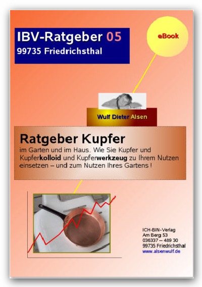 'Ratgeber Kupfer'-Cover