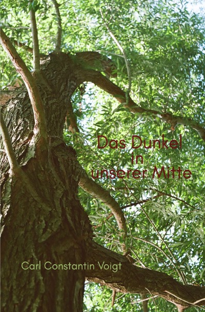 'Cover von Das Dunkel in unserer Mitte'-Cover