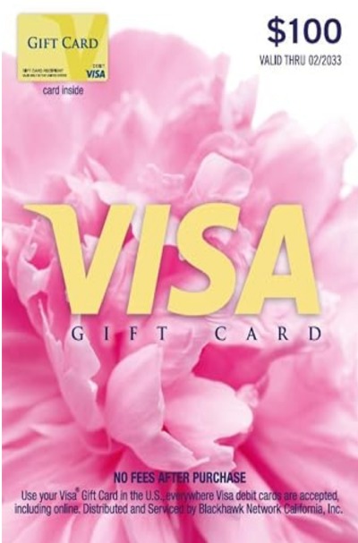 'Cover von Visa Gift Card $100'-Cover