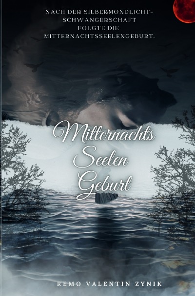 'Cover von Mitternachtsseelengeburt'-Cover