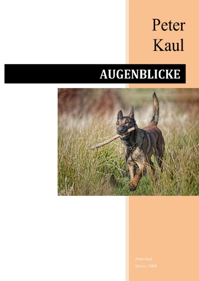 'Cover von Augenblicke – Eine fotografische Reise'-Cover