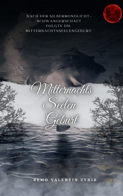 'Cover von Mitternachtsseelengeburt'-Cover