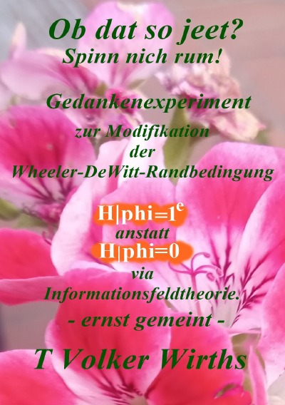 'Cover von Gedankenexperiment zur Modifikation der Wheeler-DeWitt-Randbedingung (= 1 hoch e)'-Cover